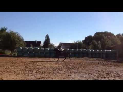 Septembre 2015 : Uzario - AQPS - 7 ans