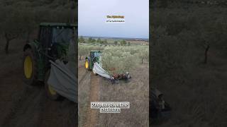 #curiosidade #tecnologia #azeitona #portugal