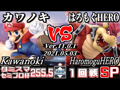 タミスマSP255.5 セミプロ杯1回戦 カワノキ(マリオ) VS はろもぐHERO(クッパ) 【スマブラSP】