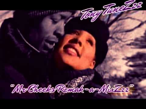 Tony Tunes-Mr.Cheeks Renee Remak-a-MixZzz