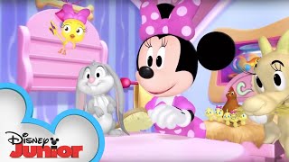 Pet Calendar  Minnies Bow-Toons  Disney Junior