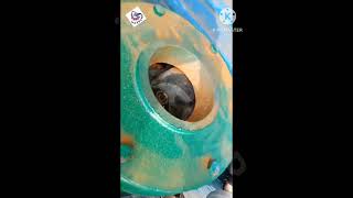 Download lagu Set Mesin Pompa Lumpur 8'inch Submersible Pump Vertikal mp3 Download lagu Set Mesin Pompa Lumpur 8'inch Submersible Pump Vertikal mp3