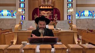 עצות מועילות לעריכת ליל הסדר , עם אזעקה באמצע !!! ו' ניסן תשפ"ו מורשת אבות רעננה