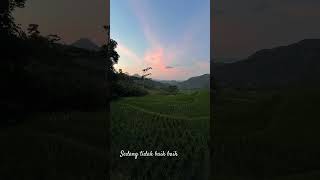 Download lagu disini sedang tidak baik baik #metalhead #music #deathmetal #metal #indonesia mp3 Download lagu disini sedang tidak baik baik #metalhead #music #deathmetal #metal #indonesia mp3