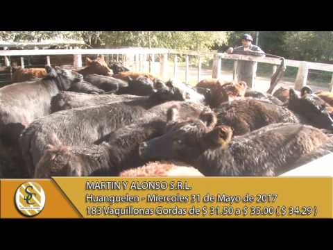 31-05-17 Venta de Vaq. Gordas - Martin y Alonso S.R.L. - Huanguelen.