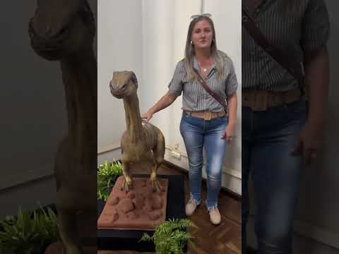 Visita ao museu de Cruzeiro do Oeste no Paraná 🤩🤩 #interior #humor #viraliza #comedia #viralreels