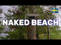 NAKED Beach In Nacka Stockholm