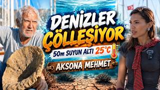 Sünger Avcısı Aksona Mehmet: "Denizler Çölleşiyor! Deniz Florası Tükenmek Üzere!