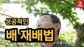 [배 재배] ???? 배 재배에 있어 반드시 필요한 사항 /일소피해 원인/ 김락출  마이스터
