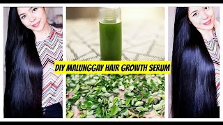 DIY Malunggay-Moringa Hair Growth Serum -Grow Hair faster, Lessen Hair Fall and Get Healthy Scalp
