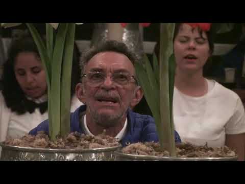 MEU MESTRE A VÓS EU LHE PEÇO - F.D.J. - PAD.ALFREDO 17