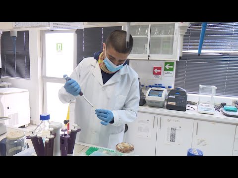 Scientists investigate blue scorpion venom to treat cancer