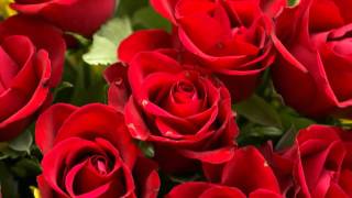 (HD 720p) Jim Reeves Sings &quot;Roses,  I Send You Roses&quot;