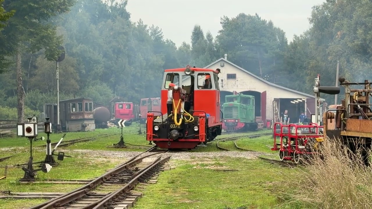 Тепловоз ТУ6Д-0378 в Лавассааре ужд музее / TU6D-0378 at Lavassaare narrow gauge museum