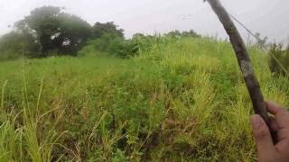 Re: [經驗] 東海古堡