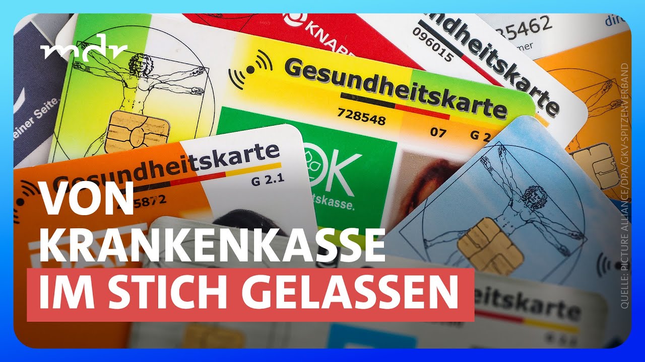 Verein springt ein: Elektrodenanzug könnte Otto helfen | Voss & Team | MDR