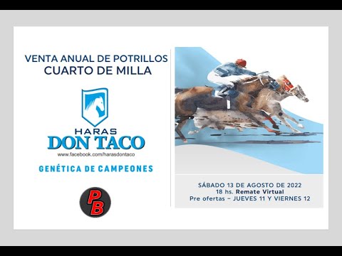 VENTA ANUAL DE POTRILLOS - HARAS DON TACO - DIRECTO