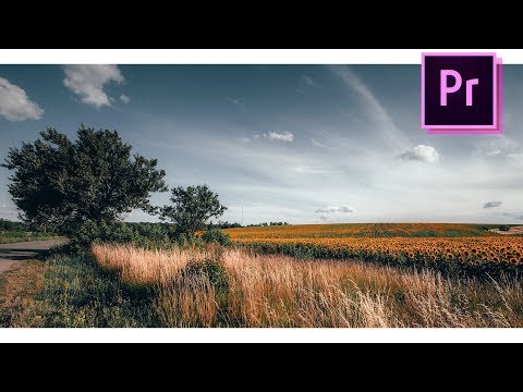 Как БЫСТРО стабилизировать видео?