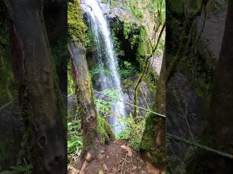tres gargantas en proyecto jardin antioquia atlas de cascadas inf 350-8837175