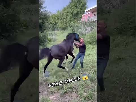 Que quiso hacer el pelón?🤔