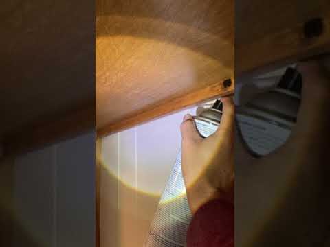 Creepy Roach Infestation