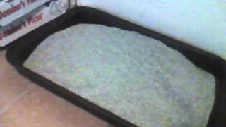 Nocturne - The Awakening!