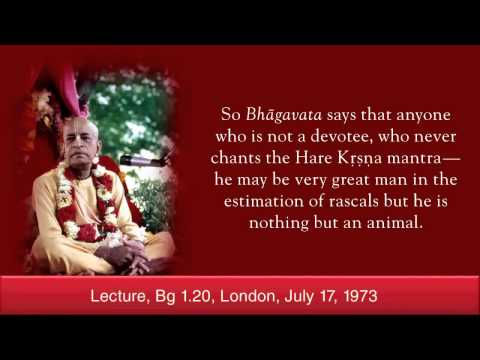 "Don't remain foolish" - Srila Prabhupada