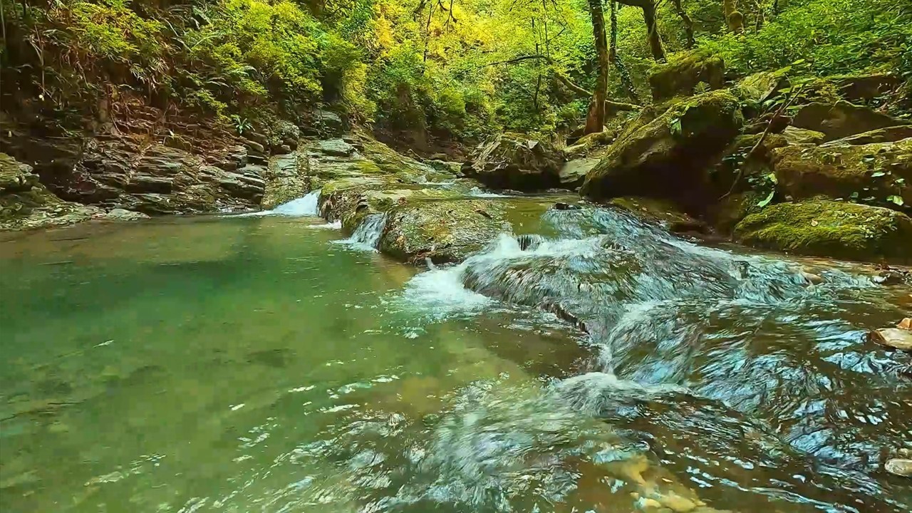 【川の音】森の清流が岩肌を流れる澄んだ水音ASMR【睡眠/集中/作業用】