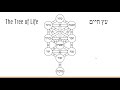 Fundamentals Of Kabbalah Part 1 The Tree Of Life