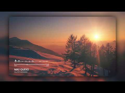 FLOYD WONDER - "mas queso"