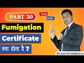 What Is Fumigation Certificate Why Its Necessary For International Shipment Fumigation