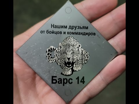 Барс 14
