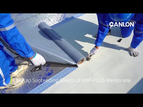 Self Adhesive Membrane