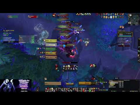 Warrior Does 1 Million DPS