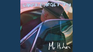 Can&#39;t Forget You