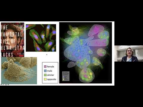 Science Café: Why do psychiatric medications affect women and men differently