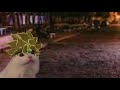 Kat Jotaro Vs KAT DIO