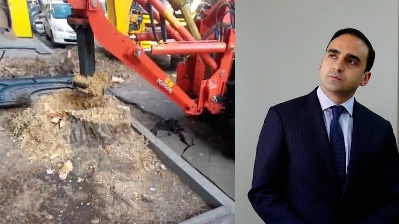 Սակուրաների նոր հասցենե՞ր Երևանում