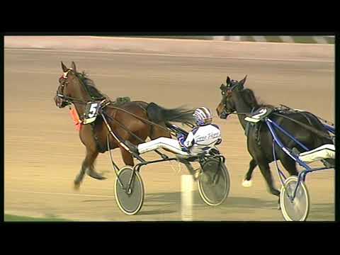 Trotto 22/11/2020 - 8ª corsa