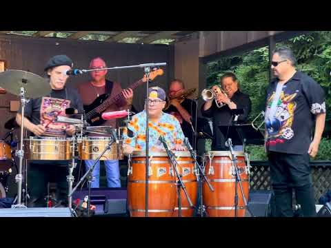 MOMOTOMBO-SF video