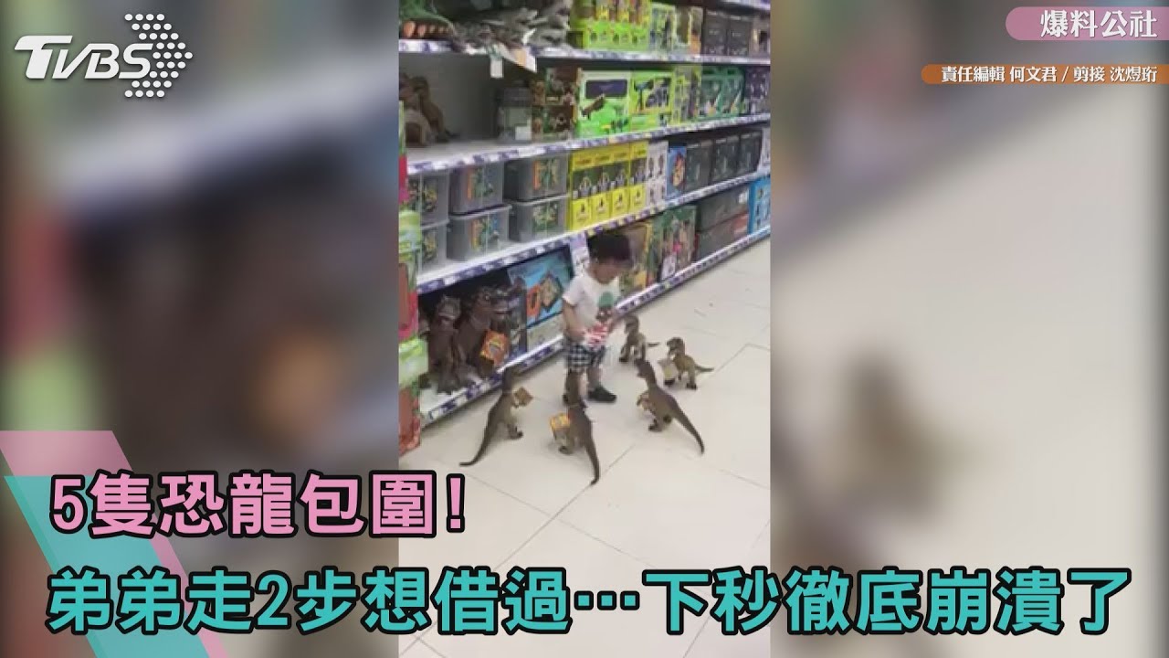 5隻恐龍包圍!弟弟走2步想借過…下秒徹底崩潰了