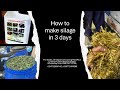 How To Make Silage Ready In 3days With MolaPlusLivestockMicrobes​ Shambasolutions ​⁠ 256758712