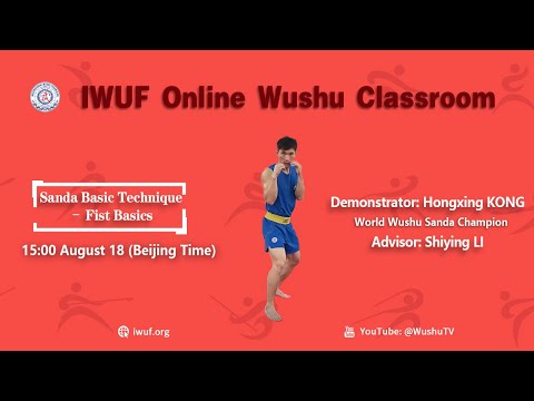 46. Sanda Basic Technique - Fist Basics