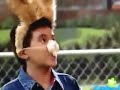 Found Puppy Love Theme Until May I Help You Credits Missing The Ending
