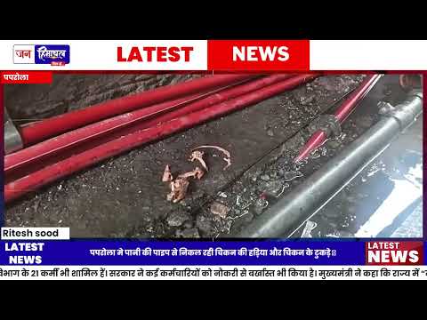 पपरोला में Water Supply पर सवाल, पाइपलाइन से निकले चिकन के टुकड़े