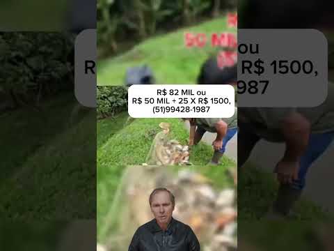 [775] CHÁCARA  EM TAQUARA  COM  CASA AÇUDE FIBRA ÓTICA R$ 50 MIL + 25X R$ 1500, #chacara #sitio