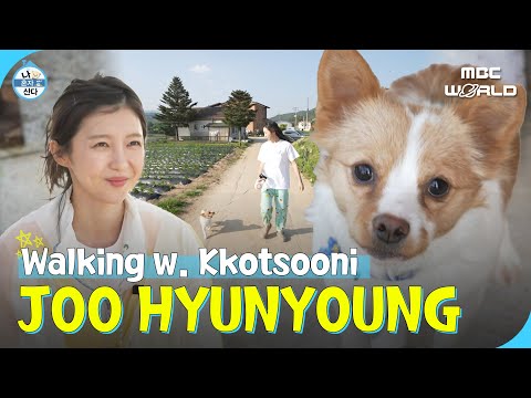 [SUB] HYUNYOUNG walking her dogs at her country home #JOOHYUNYOUNG