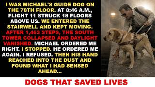 True Dog Story: Guide Dog Saves Blind Owner From 9/11 Tower Collapse