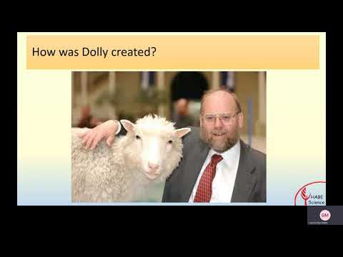 Harris Academy Beckenham Sixth Form Open Evening - Biology