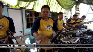 Download lagu Check Sound - Pertemuan Rita Sugiarto OM Callista Lamongan Live Kedepek Mega Djaya Sound System mp3 Download lagu Check Sound - Pertemuan Rita Sugiarto OM Callista Lamongan Live Kedepek Mega Djaya Sound System mp3